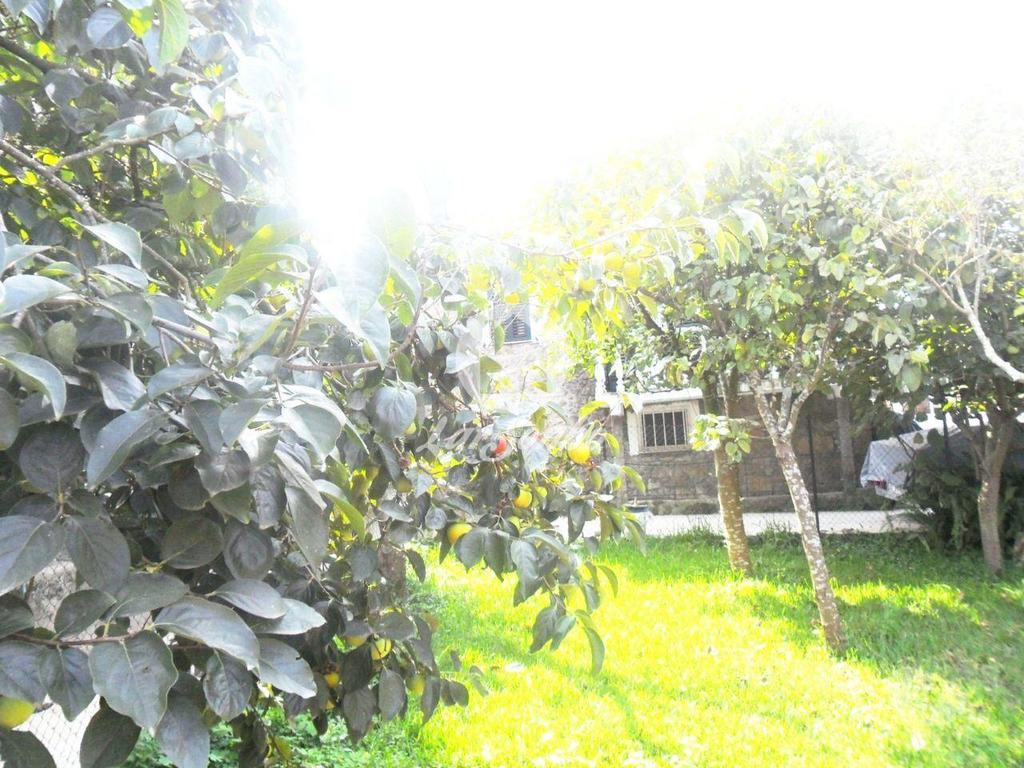 Apartamentos a venda Póvoa de Varzim - Fotos para Moradia M5 com lugar de garagem em Beiriz (240-M-03578)