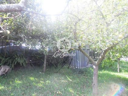 Apartamentos a venda - Fotos para Moradia M5 com lugar de garagem em Beiriz (240-M-03578)