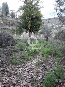 Moradia individual para recuperar com moinho, 1038m2 em Mondim