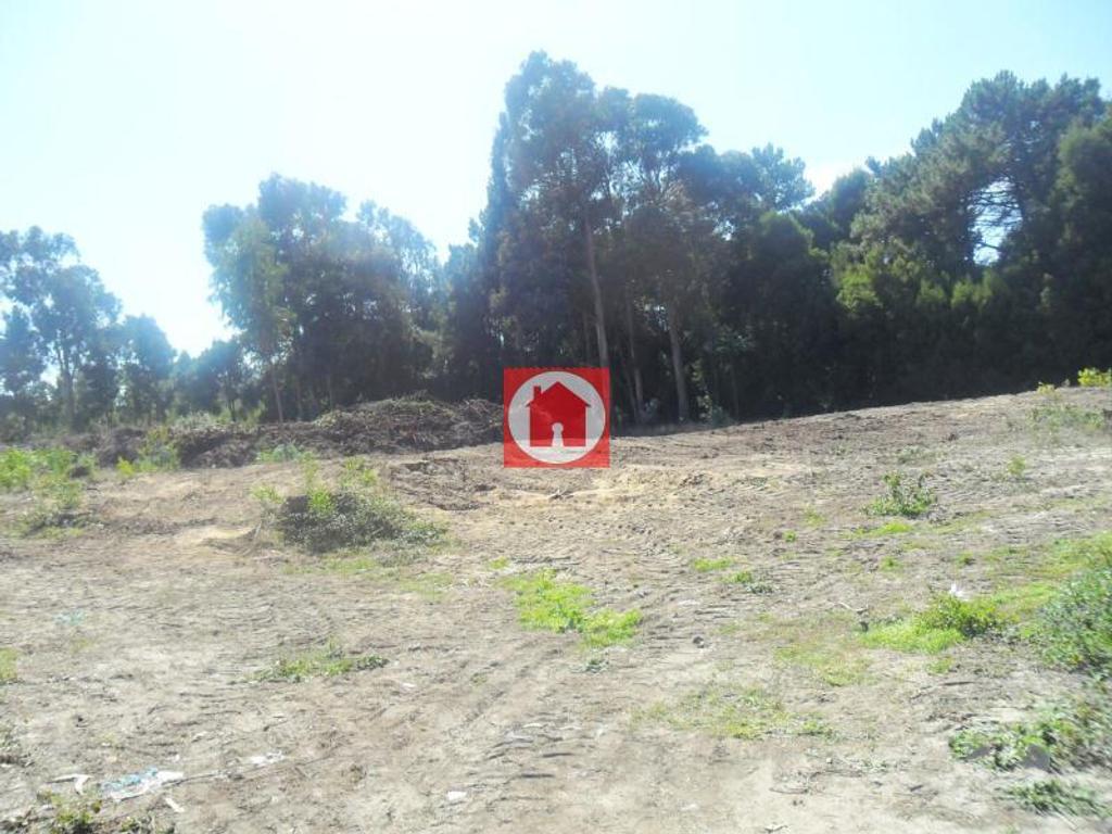 Terrenos Vila do Conde - Fotos para Vila-do-conde-Terreno c 9..500m2 em Árvore (240-T-03558)