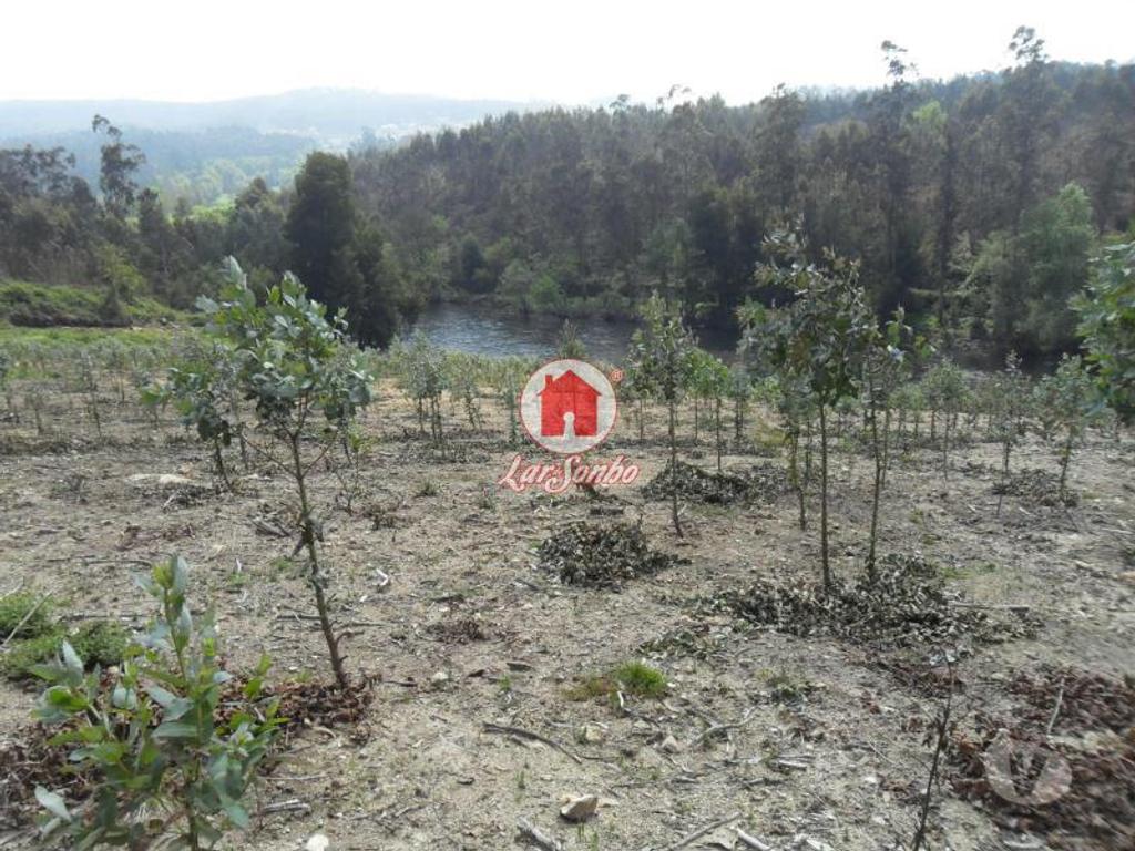 Terrenos Vila do Conde - Fotos para Terreno agrícola de 20.000m2 em Ferreiró, Vila do Conde