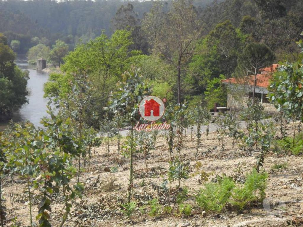 Terrenos Vila do Conde - Fotos para Terreno agrícola de 20.000m2 em Ferreiró, Vila do Conde