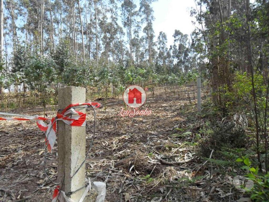 Terrenos Vila do Conde - Fotos para Terreno agrícola de 1.000m2 em Ferreiró, Vila do Conde