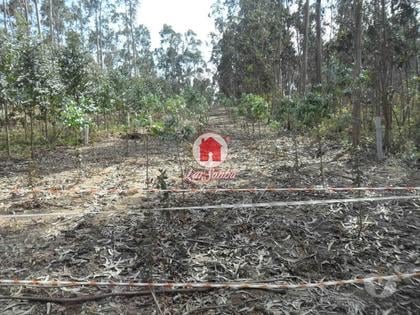 Terrenos e quintas a venda - Fotos para Terreno agrícola de 1.000m2 em Ferreiró, Vila do Conde