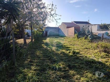 Terrenos - Fotos para Cartaxo-Lote com projeto aprovado (LT105)