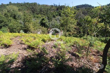 Terrenos - Fotos para Amares-Quintinha com 32.270 m2 em Amares, Braga (240-Q-23800)