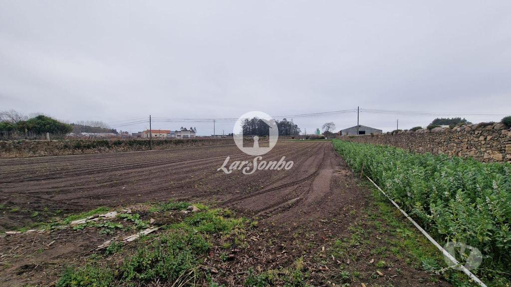Terrenos Póvoa de Varzim - Fotos para Terreno de construção de moradias c 5.000m2 em Beiriz - Póvoa