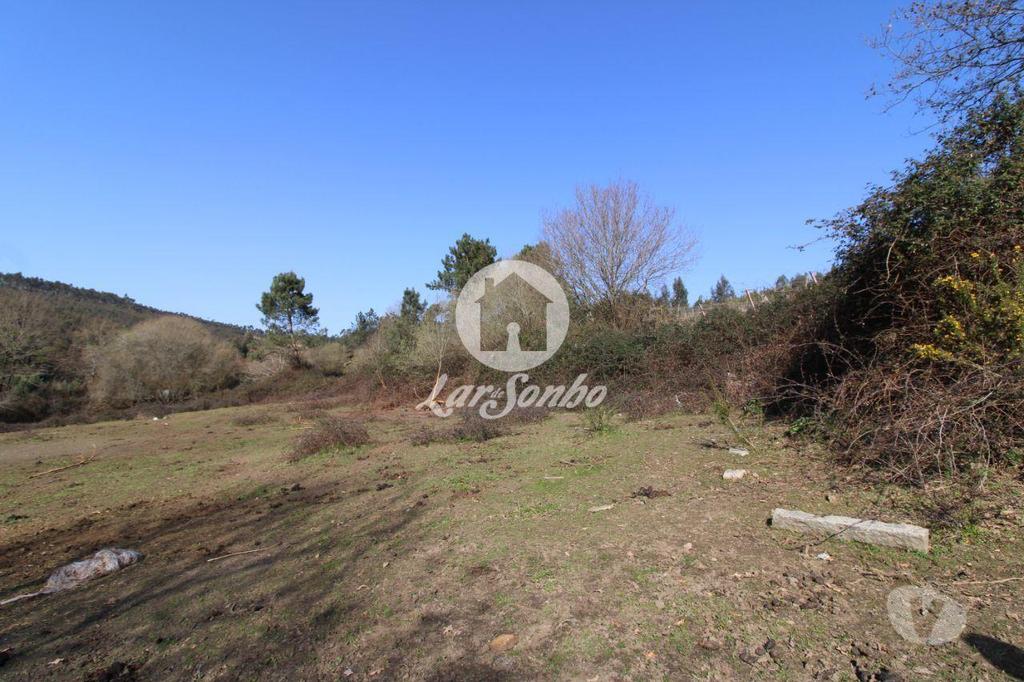 Terrenos Vila Nova de Famalicão - Fotos para Terreno agrícola com 6.000m2 em Ribeirão - Vila Nova de