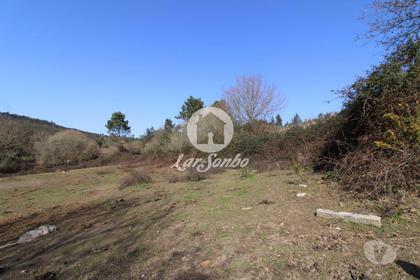 Terrenos - Fotos para Terreno agrícola com 6.000m2 em Ribeirão - Vila Nova de