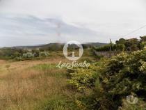 Santo-tirso-Terreno com 8.100 m2 - Sequeiro (240-T-20240)