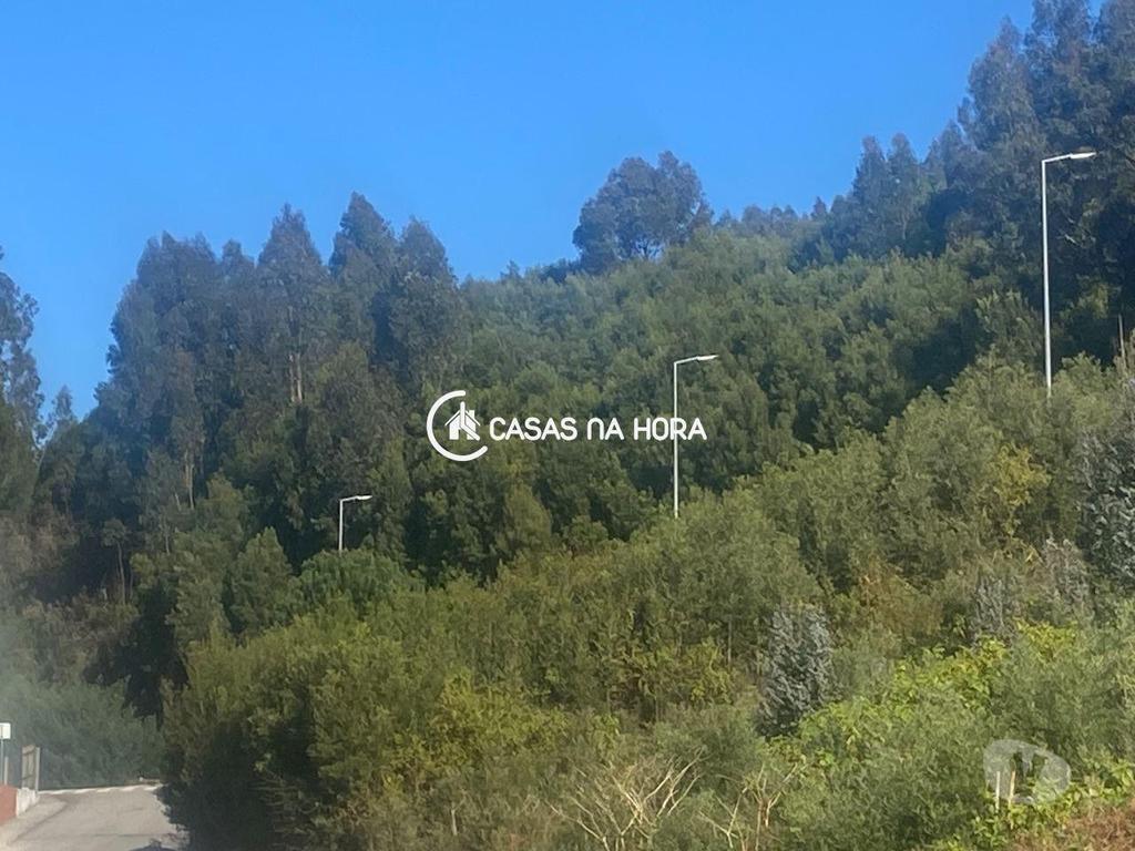 Terrenos Vila Nova de Gaia - Fotos para Localizado na freguesia de Perosinho, concelho de Vila Nova de