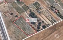 Fotos para Palmela-Terreno em Vale de Marmelos - Palmela (WT)