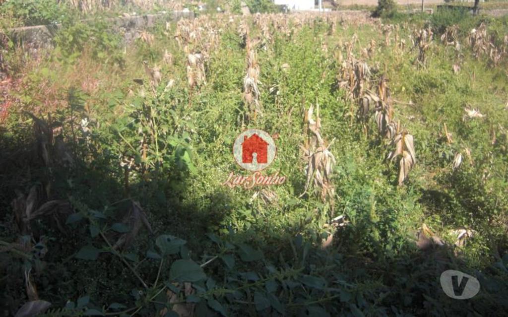 Terrenos Póvoa de Varzim - Fotos para Terreno para construção com 2.000 m2 em Beiriz, Povoa de Varzim
