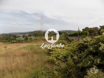 Terreno com 8.100 m2 - Landim (240-T-20241)