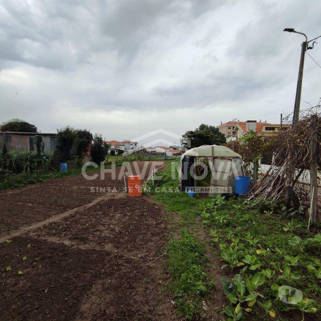Terrenos Vila Nova de Gaia - Fotos para Lote c Projeto Aprovado p 5 Moradias em Canelas (MAD 01945)