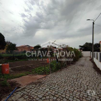 Terrenos - Fotos para Lote c Projeto Aprovado p 5 Moradias em Canelas (MAD 01945)