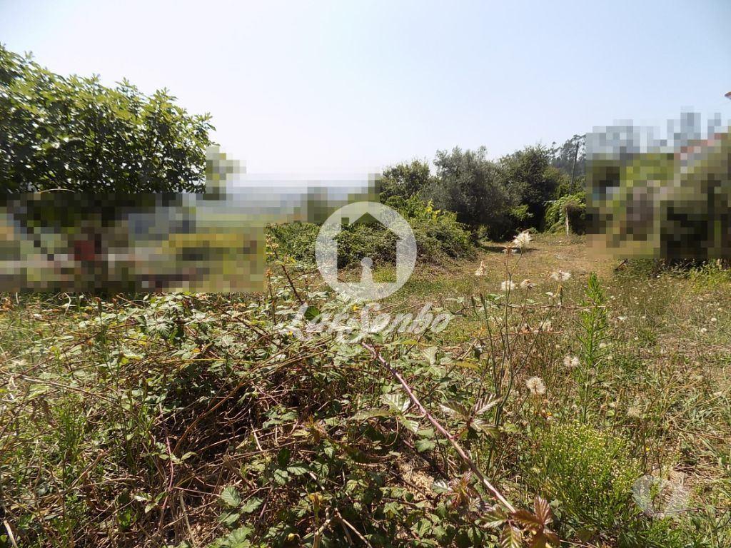 Terrenos Vila Nova de Famalicão - Fotos para Terreno para construção com 778 m2 - Jesufrei (240-T-21675)