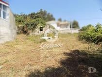 Terreno para construção com 778 m2 - Jesufrei (240-T-21675)