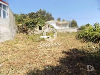 Terrenos - Fotos para Terreno para construção com 778 m2 - Jesufrei (240-T-21675)