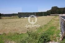 Fotos para Vila-do-conde-Terreno p construção em Guilhabreu (240-T-21251)