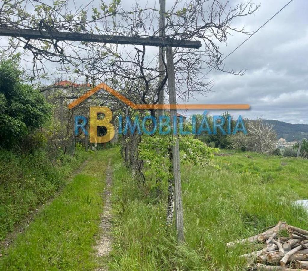 Terrenos Arouca - Fotos para Quinta das Leiras - Arouca