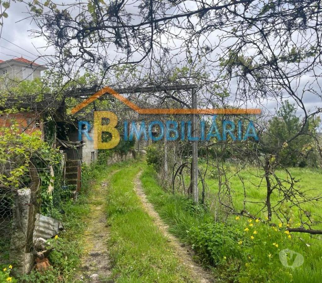 Terrenos Arouca - Fotos para Quinta das Leiras - Arouca