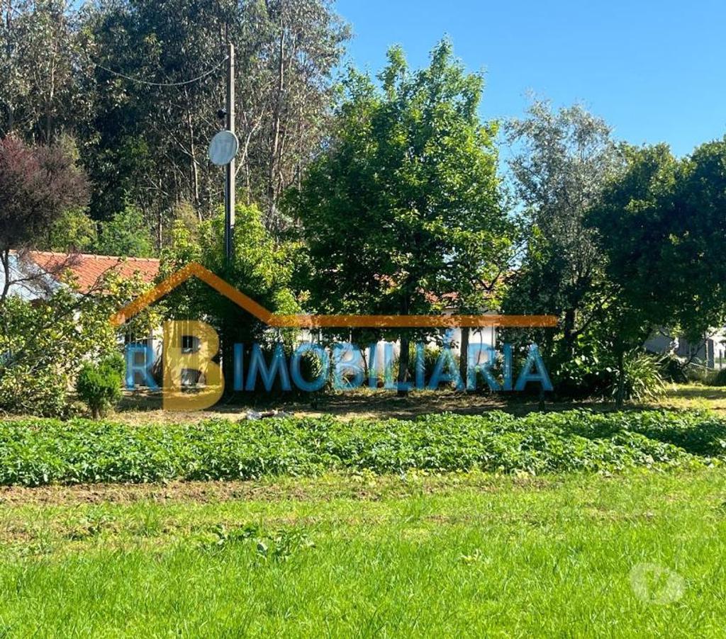 Apartamentos a venda Arouca - Fotos para Moradia c terreno em Tropeço - Arouca