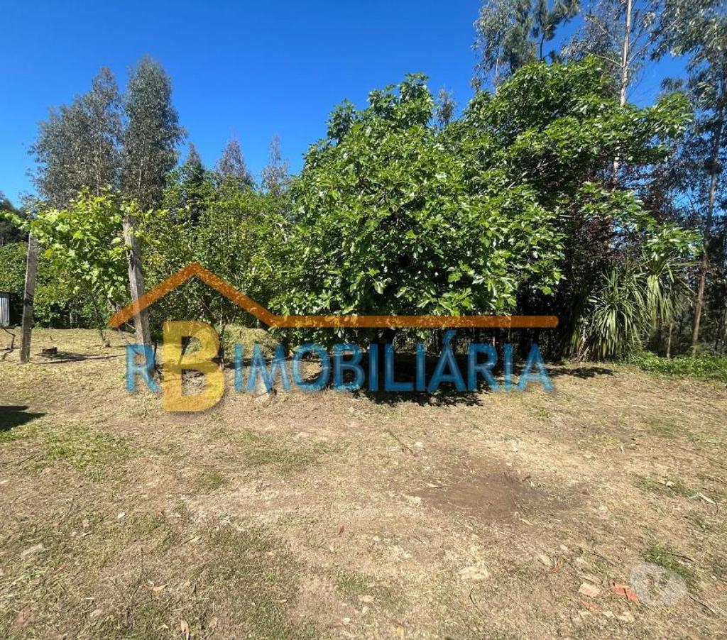 Apartamentos a venda Arouca - Fotos para Moradia c terreno em Tropeço - Arouca