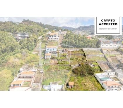 Terrenos a venda - Fotos para Terreno Rústico - Câmara de Lobos