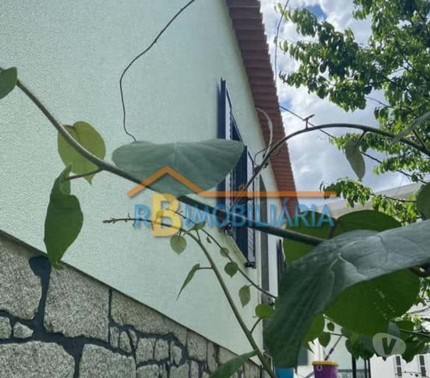Terrenos Arouca - Fotos para Quinta em Santa Eulália - Arouca