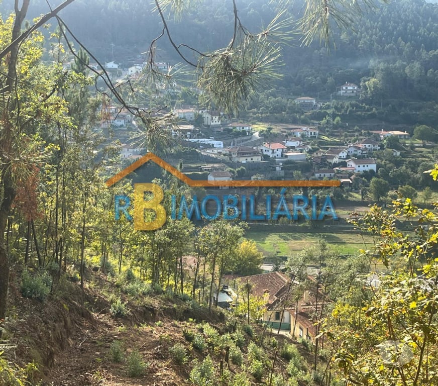 Terrenos Arouca - Fotos para Terreno para construção em Rossas - Arouca