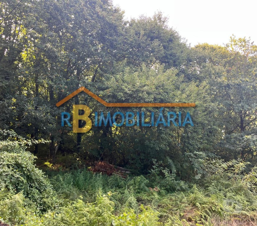 Terrenos Arouca - Fotos para Lote de terreno urbano - Rossas, Arouca