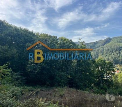 Terrenos - Fotos para Lote de terreno urbano - Rossas, Arouca