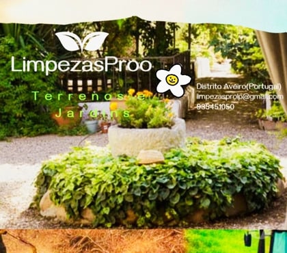 Serviços domésticos limpeza - Fotos para LimpezasProo - limpeza e Manutenção