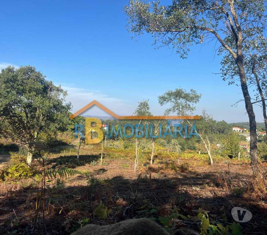 Terrenos Arouca - Fotos para Terreno para construção em Chave