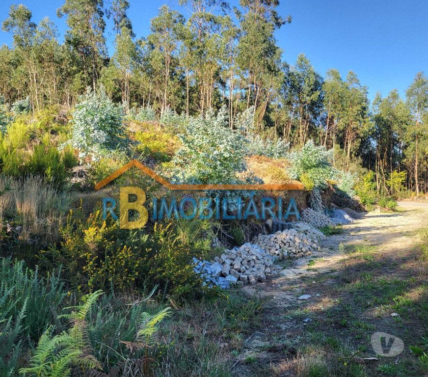 Terrenos Arouca - Fotos para Terreno Rústico em Chave, Arouca