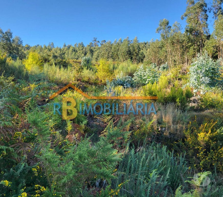Terrenos Arouca - Fotos para Terreno Rústico em Chave, Arouca