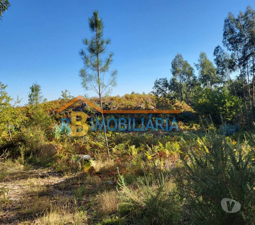 Terrenos Arouca - Fotos para Terreno Rústico em Chave, Arouca