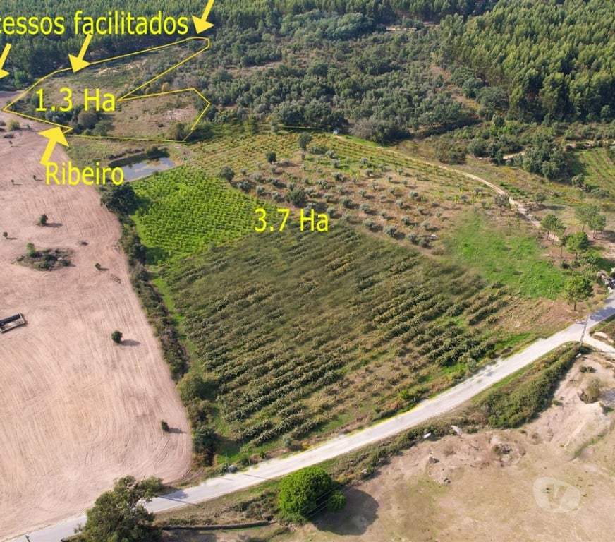 Terrenos Fundão - Fotos para Terreno 1.3 Ha Rustico Construtível - Vedado - Com Ribeiro