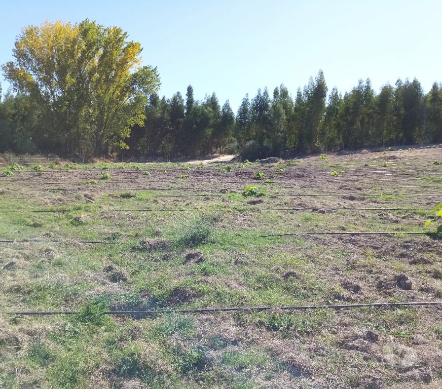 Terrenos Fundão - Fotos para Terreno 1.3 Ha Rustico Construtível - Vedado - Com Ribeiro