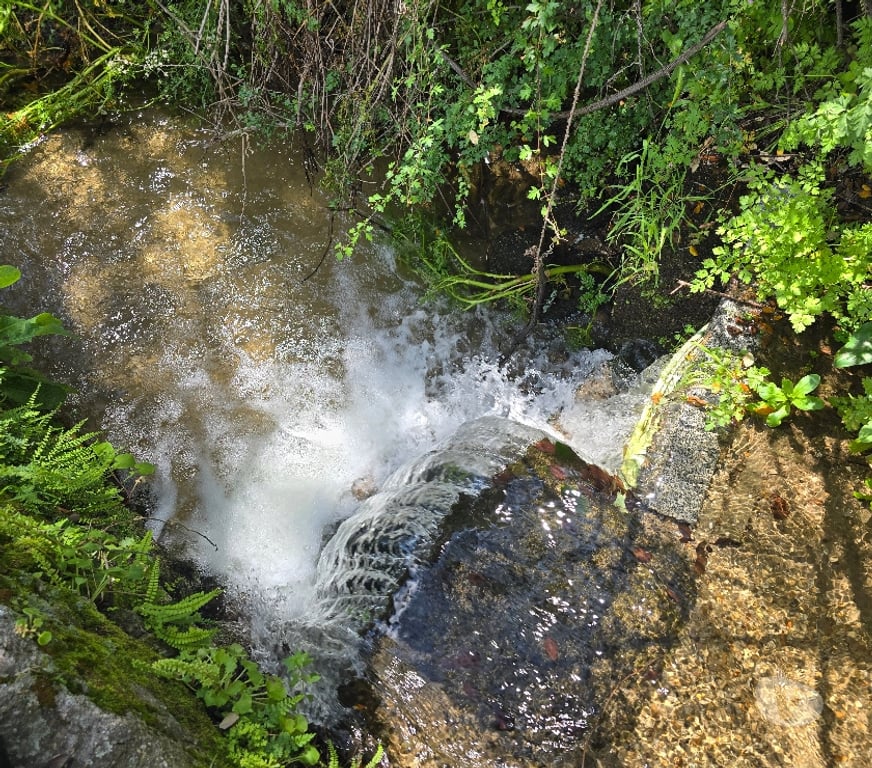 Terrenos Fundão - Fotos para Terreno 1.3 Ha Rustico Construtível - Vedado - Com Ribeiro