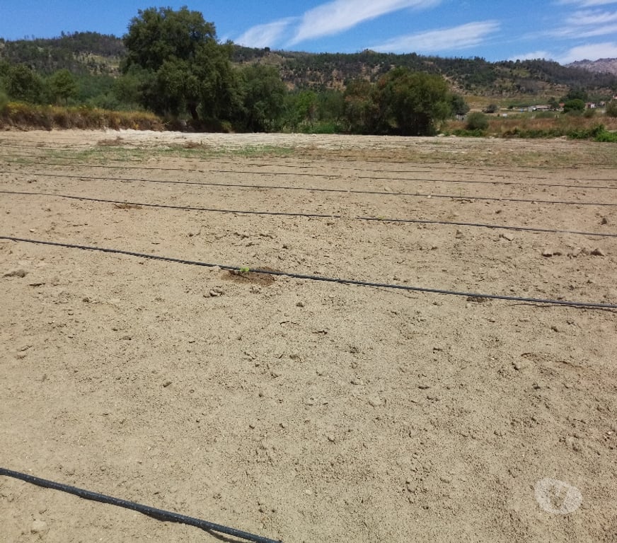 Terrenos Fundão - Fotos para Terreno 1.3 Ha Rustico Construtível - Vedado - Com Ribeiro